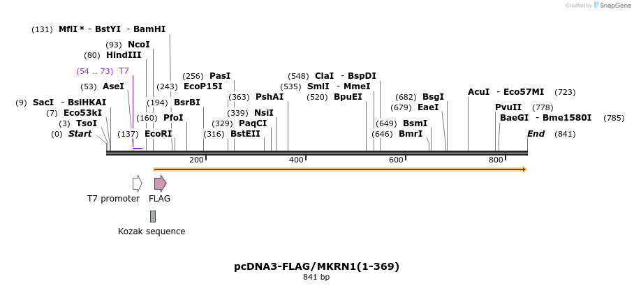 149944_map