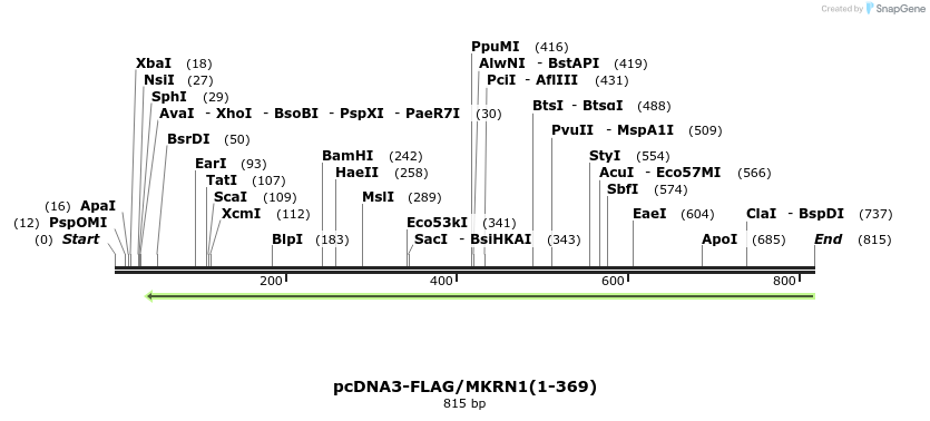 149945_map