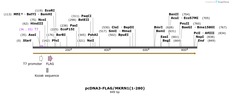 149947_map