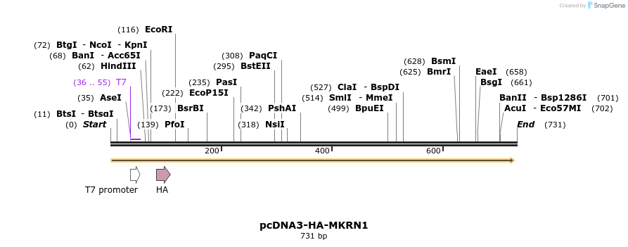 149950_map