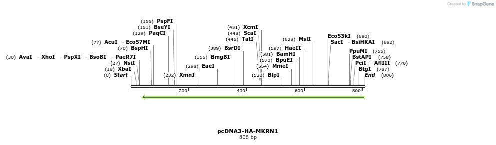 149951_map