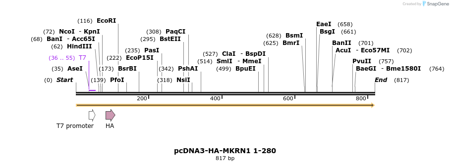 149953_map