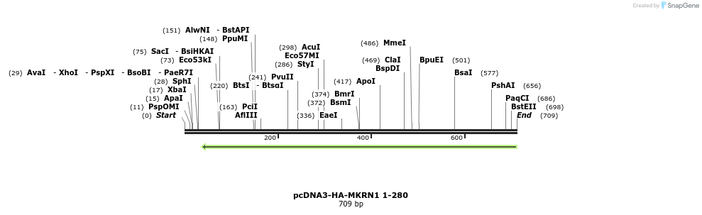 149954_map