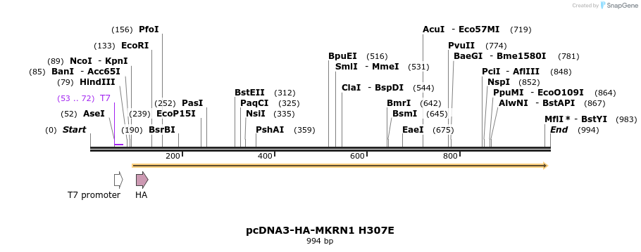 149956_map