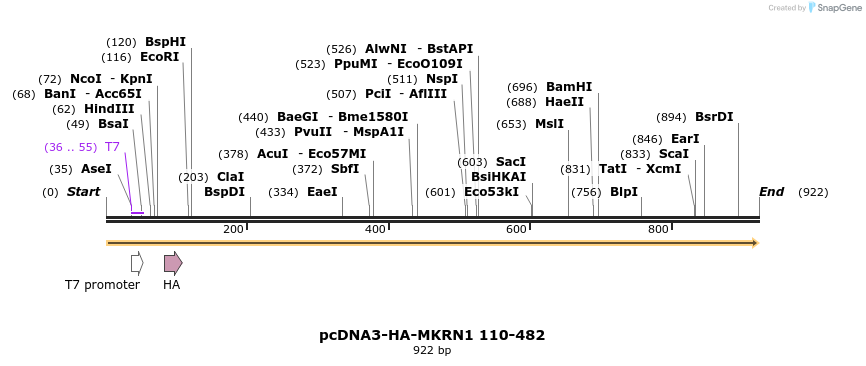 149962_map