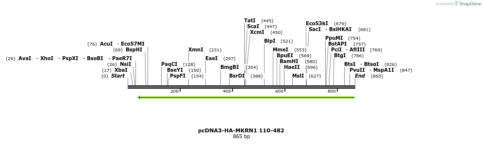 149963_map