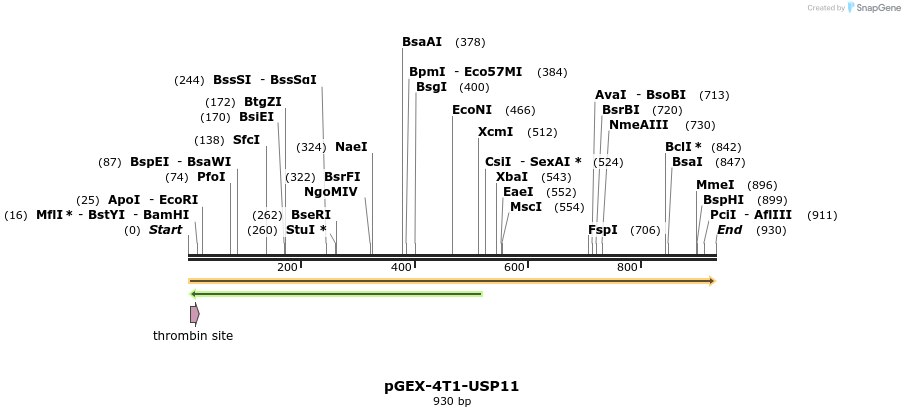 149971_map