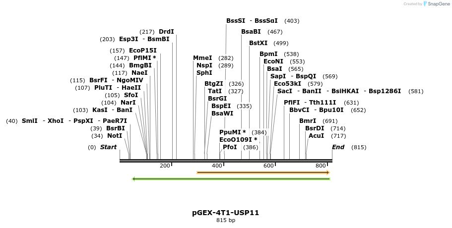 149972_map