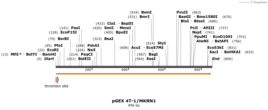 149973_map