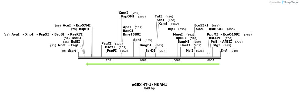 149974_map