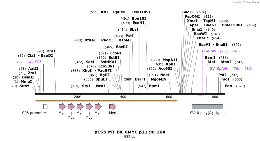 149976_map