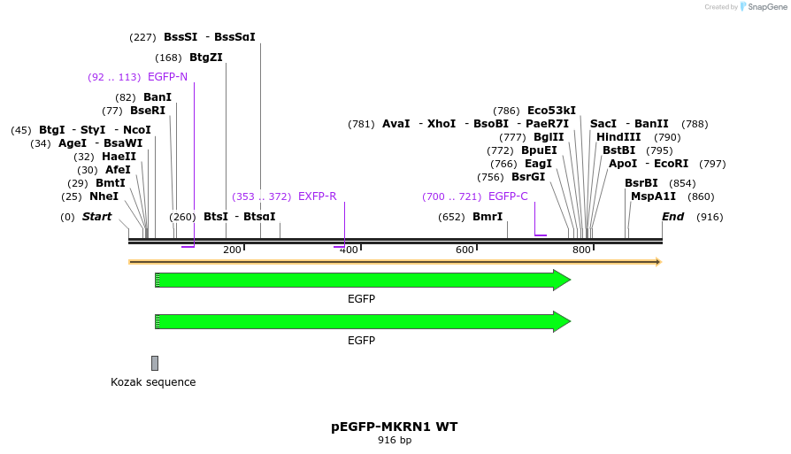 149978_map