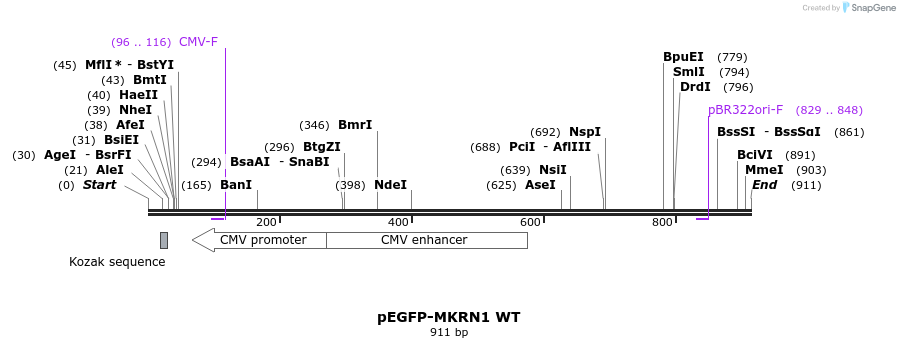 149979_map