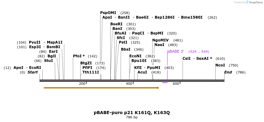 149980_map
