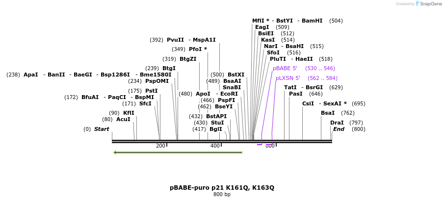 149981_map