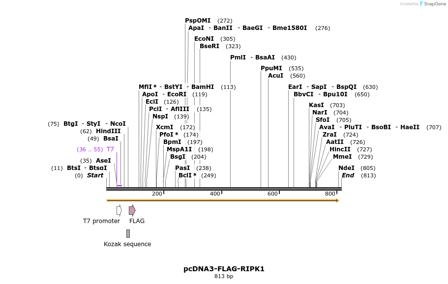 149983_map