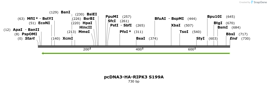149984_map