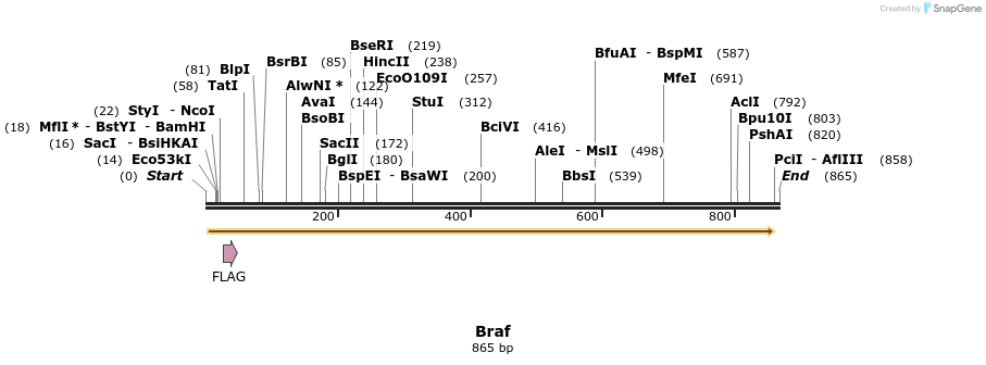 149987_map