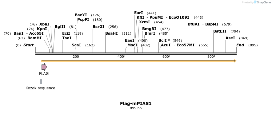 149988_map