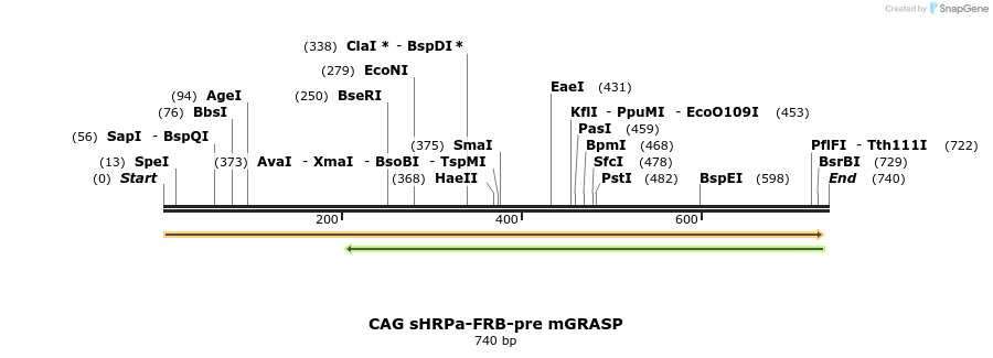 149995_map