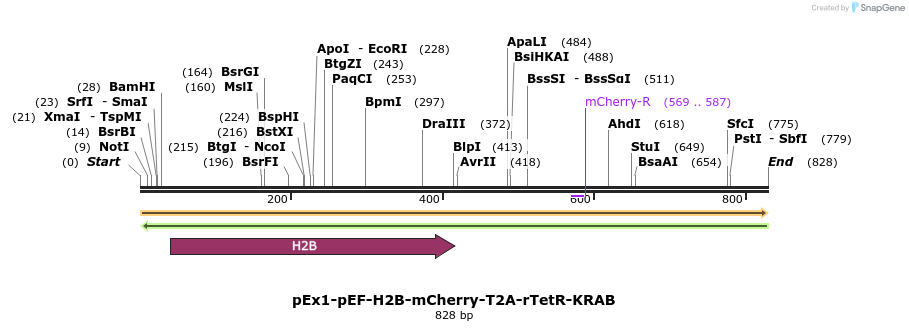 149996_map