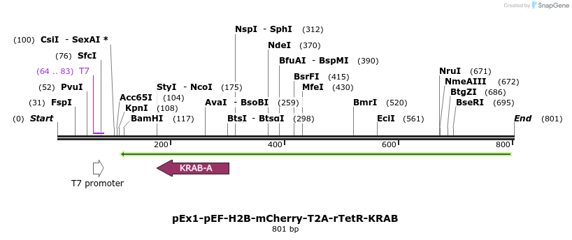 149997_map