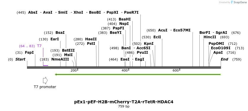 149999_map
