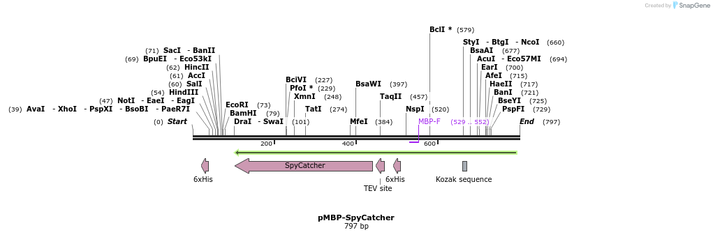150011_map