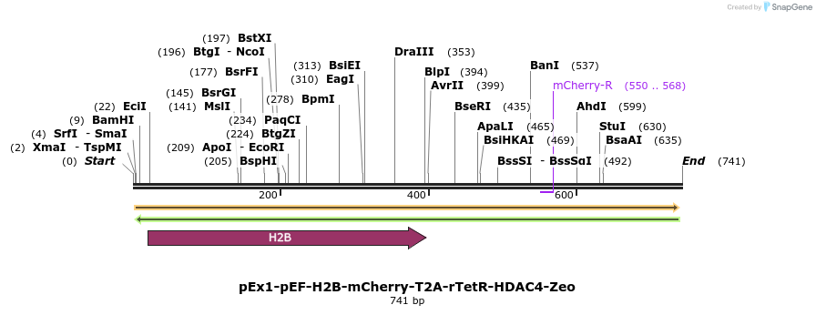 150014_map