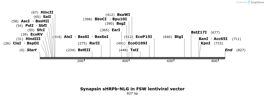 150039_map