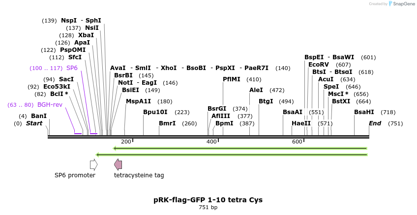 150040_map