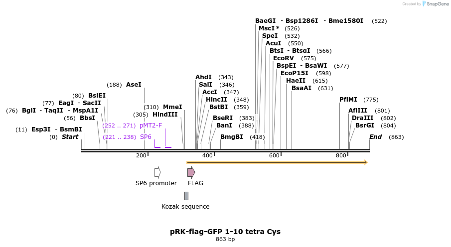 150041_map