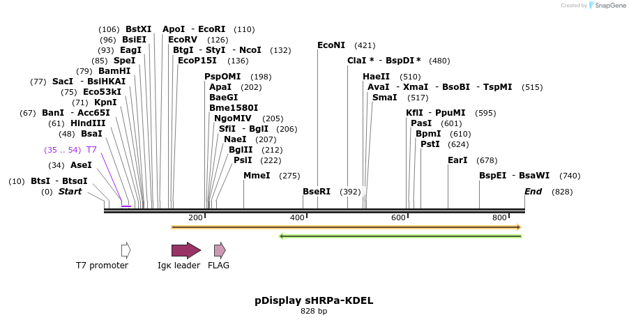 150048_map