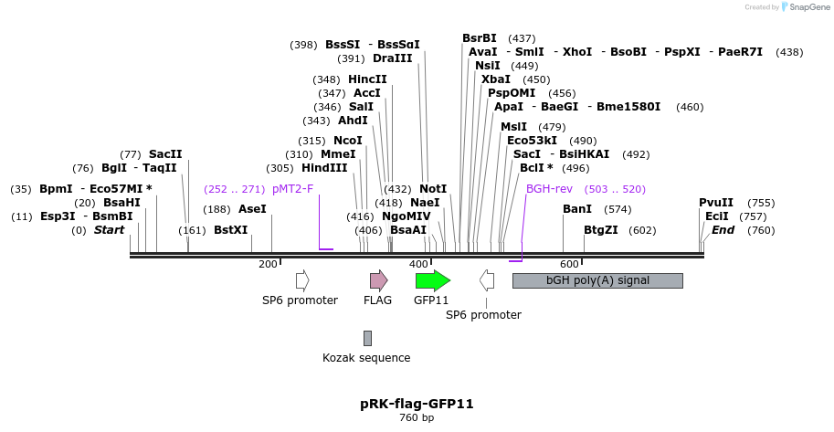 150049_map