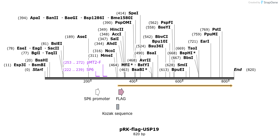 150060_map