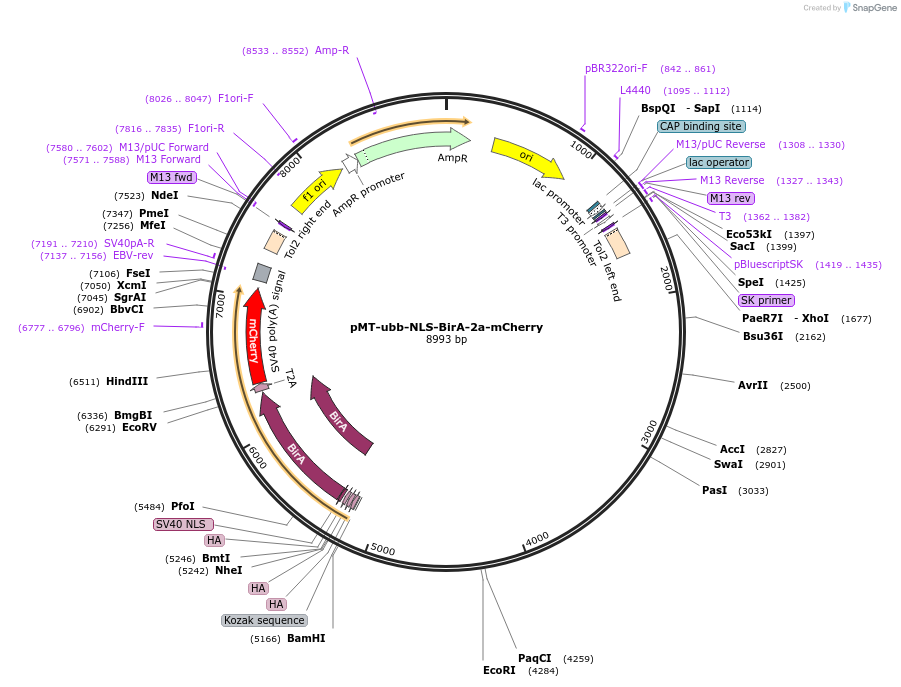 150062_map