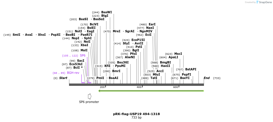 150069_map