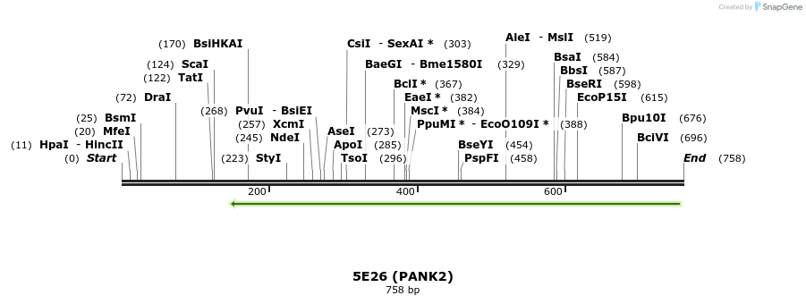 150091_map
