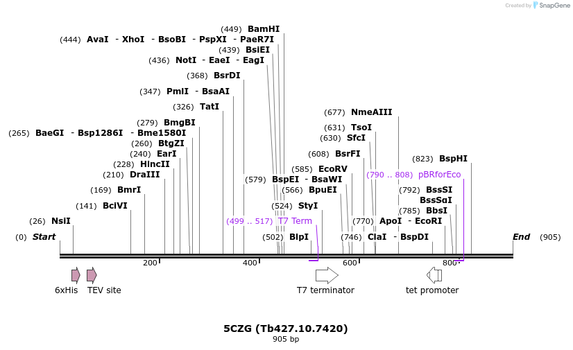 150095_map