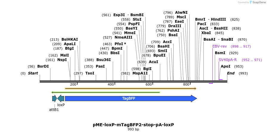 150113_map