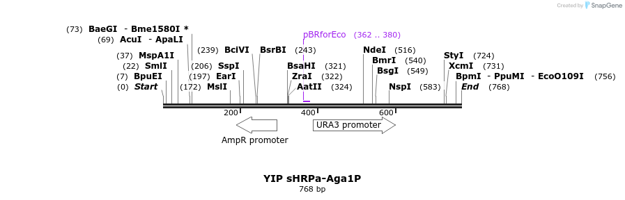 150118_map