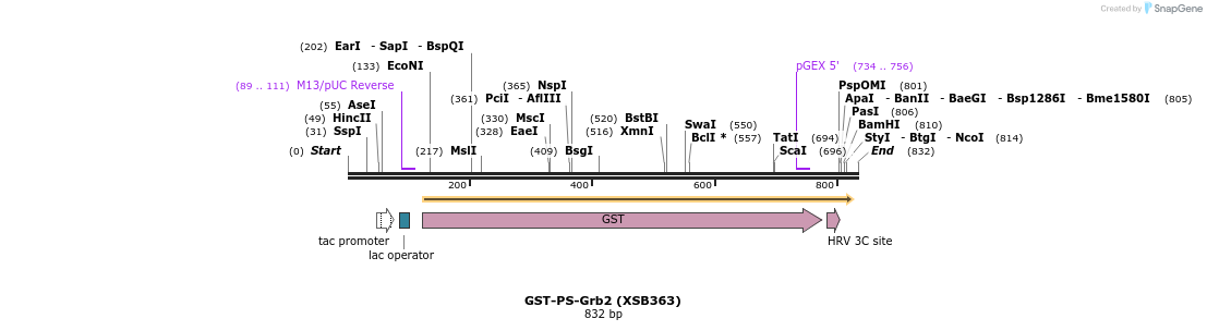 150133_map