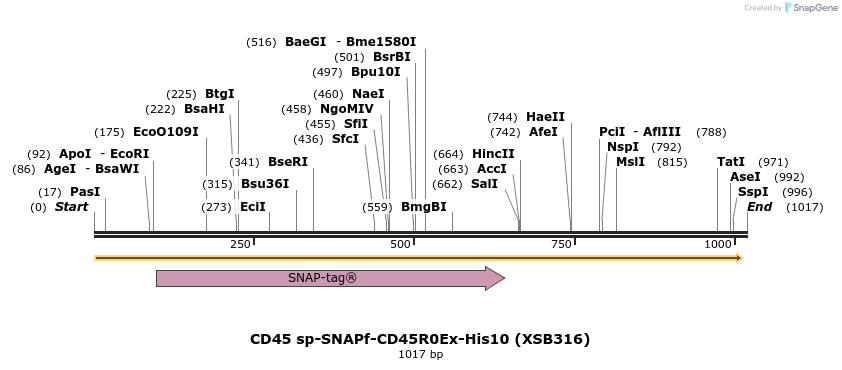 150135_map