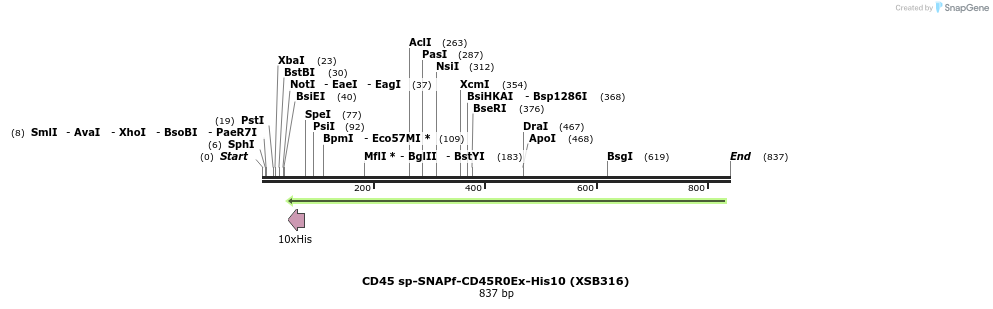 150136_map