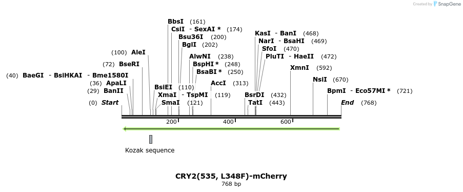 150140_map