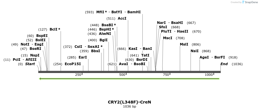 150147_map