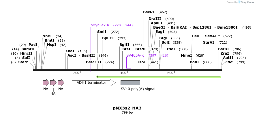 150148_map