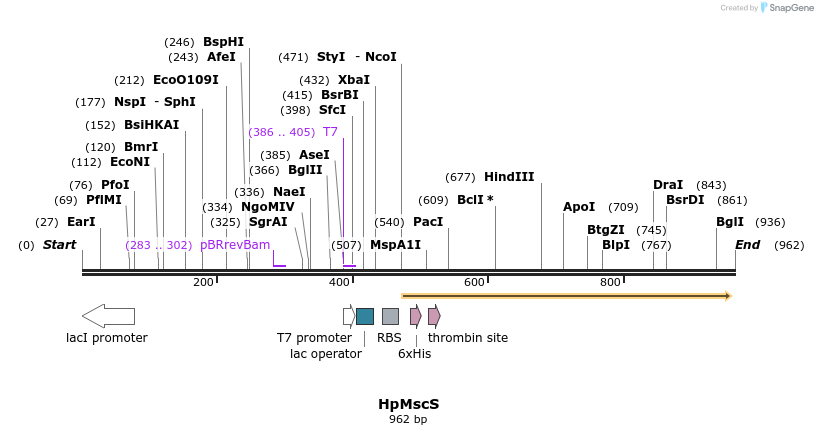 150151_map