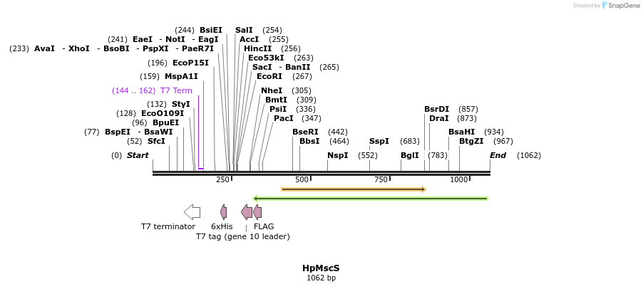 150152_map