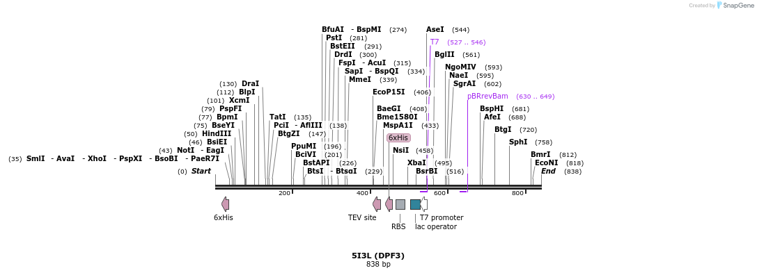 150156_map